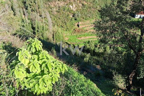 Helårsgrund i Monchique, Faro, Monchique - € 300.000 | Ref: KWPT-006162 - foto 11