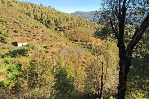 Helårsgrund i Monchique, Faro, Monchique - € 300.000 | Ref: KWPT-006162 - foto 12