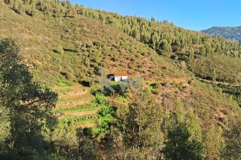 Helårsgrund i Monchique, Faro, Monchique - € 300.000 | Ref: KWPT-006162 - foto 13