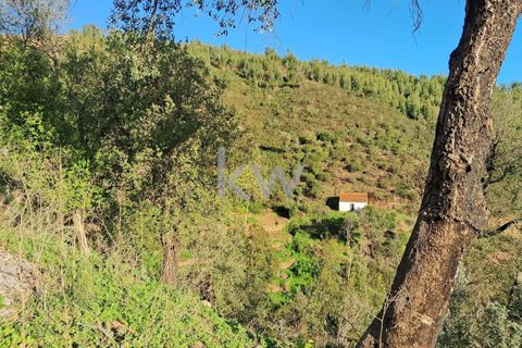 Helårsgrund i Monchique, Faro, Monchique - € 300.000 | Ref: KWPT-006162 - foto 14