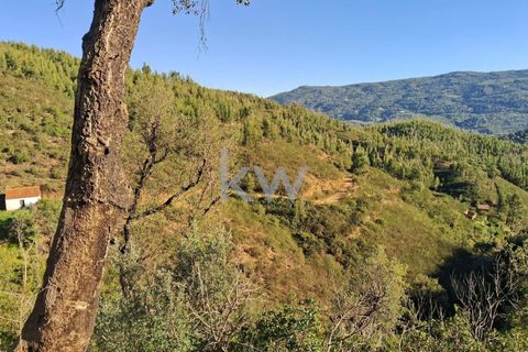 Helårsgrund i Monchique, Faro, Monchique - € 300.000 | Ref: KWPT-006162 - foto 15