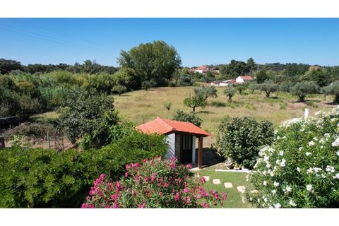 Farm i Tomar, Santarem, Tomar - € 575.000 | Ref: QUI2272 - foto 23