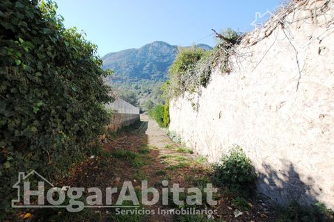 Terra a Barx, Valencia, Barx - € 59.000 | Ref: 109XAL59.FPV-C/3716 - foto 33
