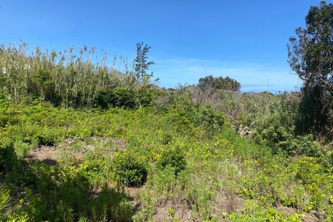Helårsgrund i Horta, Faial, Horta - € 30.000 | Ref: 1092 - foto 2