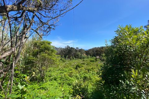 Helårsgrund i Horta, Faial, Horta - € 30.000 | Ref: 1092 - foto 3