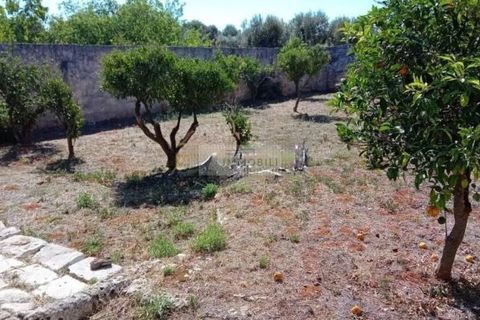 Gospodarstwo: Ostuni, Brindisi, Ostuni – 1 300 000 € | Ref: ma4 – zdjęcie 12