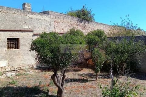 Gospodarstwo: Ostuni, Brindisi, Ostuni – 1 300 000 € | Ref: ma4 – zdjęcie 6