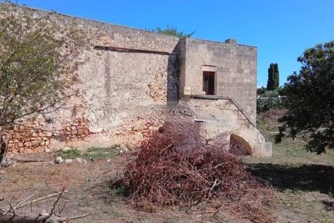 Gospodarstwo: Ostuni, Brindisi, Ostuni – 1 300 000 € | Ref: ma4 – zdjęcie 4