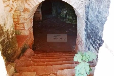 Gospodarstwo: Ostuni, Brindisi, Ostuni – 1 300 000 € | Ref: ma4 – zdjęcie 5