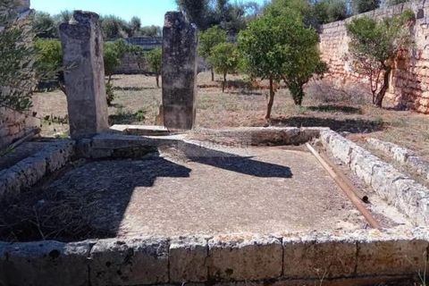 Gospodarstwo: Ostuni, Brindisi, Ostuni – 1 300 000 € | Ref: ma4 – zdjęcie 9