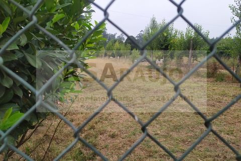 Helårsgrund i Braga, Braga, Braga - € 330.000 | Ref: TE-0001 - foto 2