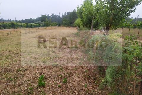 Helårsgrund i Braga, Braga, Braga - € 330.000 | Ref: TE-0001 - foto 4