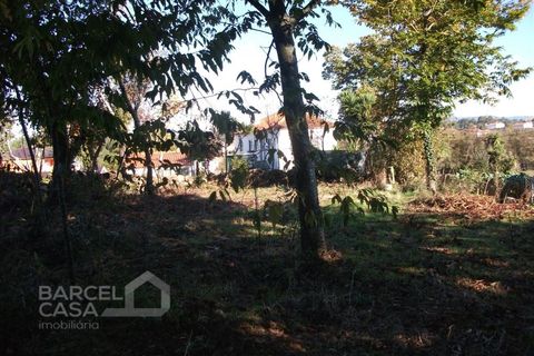 Helårsgrund i Barcelos, Braga, Barcelos - € 85.000 | Ref: 3824/10 - foto 2