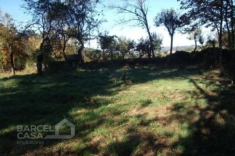 Helårsgrund i Barcelos, Braga, Barcelos - € 85.000 | Ref: 3824/10 - foto 3