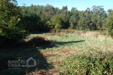 Helårsgrund i Barcelos, Braga, Barcelos - € 85.000 | Ref: 3824/10 - foto 6