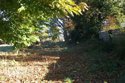 Helårsgrund i Barcelos, Braga, Barcelos - € 85.000 | Ref: 3824/10 - foto 7