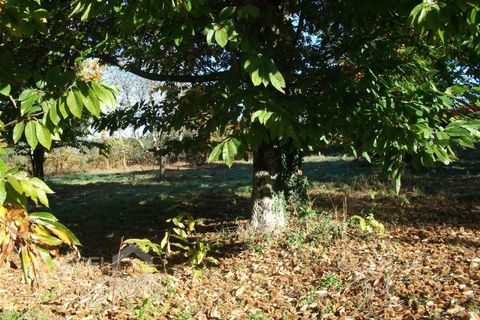 Helårsgrund i Barcelos, Braga, Barcelos - € 85.000 | Ref: 3824/10 - foto 8