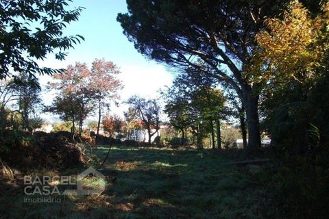 Helårsgrund i Barcelos, Braga, Barcelos - € 85.000 | Ref: 3824/10 - foto 9