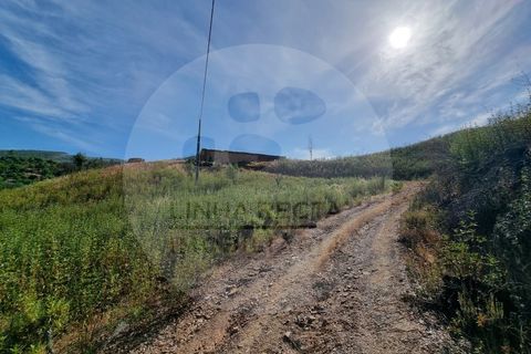 Farm i Odemira, Beja, Odemira - € 145.000 | Ref: Q5-001.24 - foto 2
