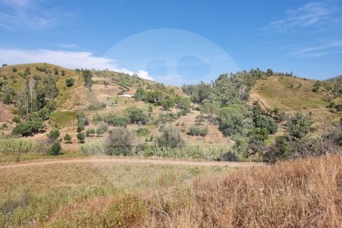 Farm i Odemira, Beja, Odemira - € 145.000 | Ref: Q5-001.24 - foto 3