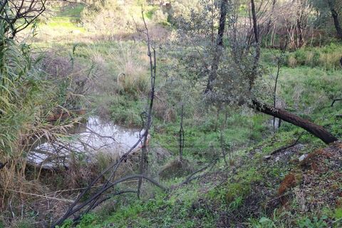 Farm i Odemira, Beja, Odemira - € 145.000 | Ref: Q5-001.24 - foto 6