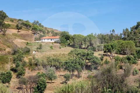 Farm i Odemira, Beja, Odemira - € 145.000 | Ref: Q5-001.24 - foto 7