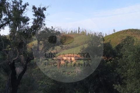 Farm i Odemira, Beja, Odemira - € 145.000 | Ref: Q5-001.24 - foto 8