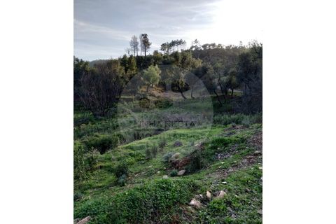 Farm i Odemira, Beja, Odemira - € 145.000 | Ref: Q5-001.24 - foto 12