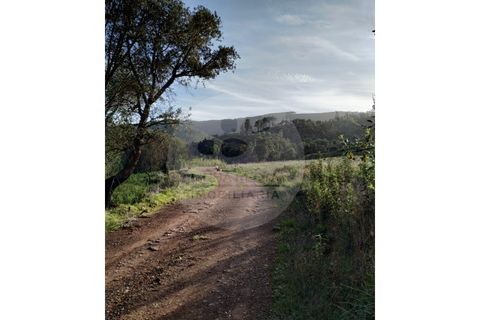 Farm i Odemira, Beja, Odemira - € 145.000 | Ref: Q5-001.24 - foto 14
