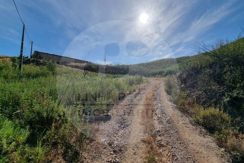 Farm i Odemira, Beja, Odemira - € 145.000 | Ref: Q5-001.24 - foto 15