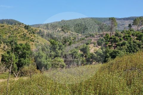 Farm i Odemira, Beja, Odemira - € 145.000 | Ref: Q5-001.24 - foto 16