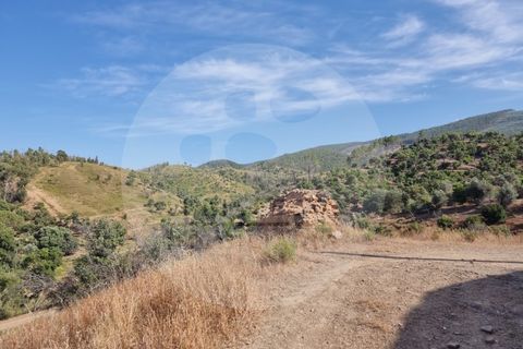 Farm i Odemira, Beja, Odemira - € 145.000 | Ref: Q5-001.24 - foto 17