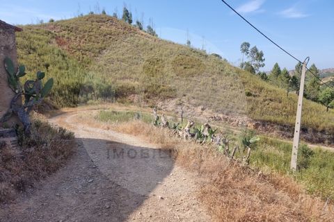 Farm i Odemira, Beja, Odemira - € 145.000 | Ref: Q5-001.24 - foto 18