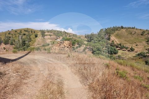 Farm i Odemira, Beja, Odemira - € 145.000 | Ref: Q5-001.24 - foto 21