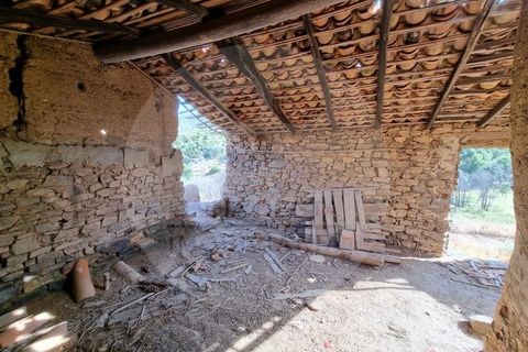 Farm i Odemira, Beja, Odemira - € 145.000 | Ref: Q5-001.24 - foto 31