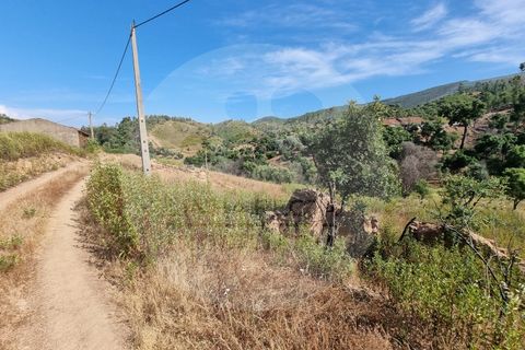 Farm i Odemira, Beja, Odemira - € 145.000 | Ref: Q5-001.24 - foto 42