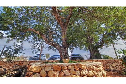 Villa a Ferreiras, Faro, Ferreiras - € 630.000 | Ref: LR-V5-004 - foto 39
