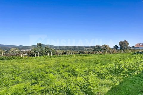 Helårsgrund i Caminha, Viana do Castelo, Caminha - € 110.000 | Ref: 2522 - foto 12