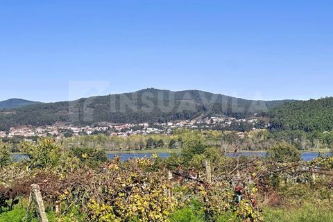 Helårsgrund i Caminha, Viana do Castelo, Caminha - € 110.000 | Ref: 2522 - foto 15
