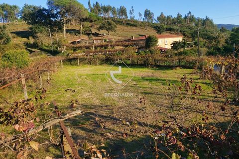 Terra a Ponte de Lima, Viana do Castelo, Ponte de Lima - € 37.500 | Ref: AV6158 - foto 4