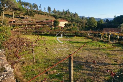 Terra a Ponte de Lima, Viana do Castelo, Ponte de Lima - € 37.500 | Ref: AV6158 - foto 2