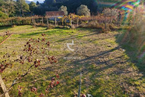 Terra a Ponte de Lima, Viana do Castelo, Ponte de Lima - € 37.500 | Ref: AV6158 - foto 3
