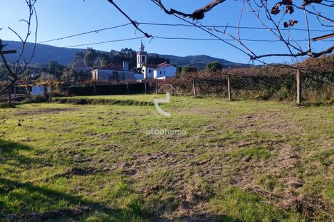 Terra a Ponte de Lima, Viana do Castelo, Ponte de Lima - € 37.500 | Ref: AV6158 - foto 8