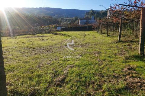 Terra a Ponte de Lima, Viana do Castelo, Ponte de Lima - € 37.500 | Ref: AV6158 - foto 9