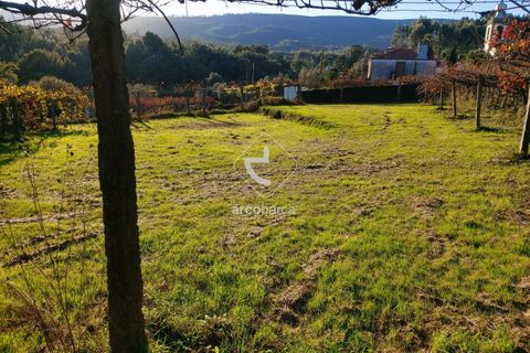 Terra a Ponte de Lima, Viana do Castelo, Ponte de Lima - € 37.500 | Ref: AV6158 - foto 10