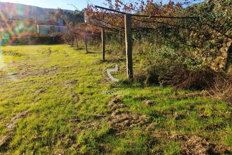 Terra a Ponte de Lima, Viana do Castelo, Ponte de Lima - € 37.500 | Ref: AV6158 - foto 11
