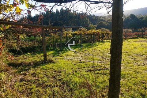 Terra a Ponte de Lima, Viana do Castelo, Ponte de Lima - € 37.500 | Ref: AV6158 - foto 12
