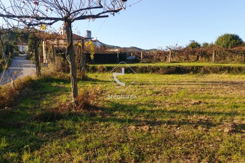 Terra a Ponte de Lima, Viana do Castelo, Ponte de Lima - € 37.500 | Ref: AV6158 - foto 13
