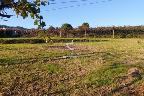 Terra a Ponte de Lima, Viana do Castelo, Ponte de Lima - € 37.500 | Ref: AV6158 - foto 14