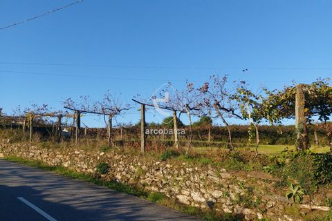 Terra a Ponte de Lima, Viana do Castelo, Ponte de Lima - € 37.500 | Ref: AV6158 - foto 15